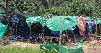 Thai armed forces, accompanied by heavy machinery such as excavators, entered An Ses area within Cambodian sovereign territory
