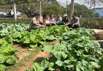 ក្រុមការងារលេខាធិការដ្ឋានចុះជួយមូលដ្ឋានព្រះសីហនុ កំពត កែប និងថ្នាក់ដឹកនាំក្រសួងកសិកម្ម រុក្ខារប្រមាញ់ និងនេសាទ បានជួបបងប្អូនប្រជាជនដាំដូង ម្រេច បន្លែចម្រុះ និងចិញ្ចឹមសត្វ នៅស្រុកអង្គរជ័យ និងកំពង់ត្រាច